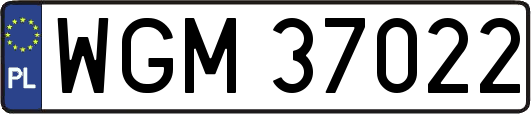 WGM37022