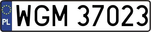 WGM37023