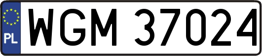 WGM37024