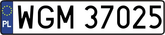 WGM37025