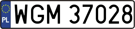 WGM37028