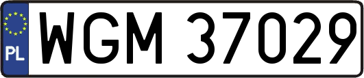 WGM37029