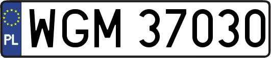 WGM37030