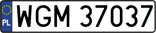WGM37037