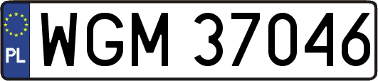 WGM37046