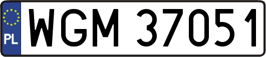 WGM37051