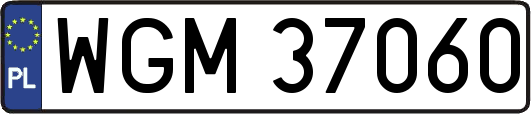 WGM37060