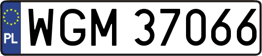 WGM37066