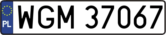 WGM37067