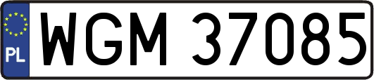 WGM37085