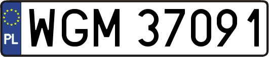 WGM37091