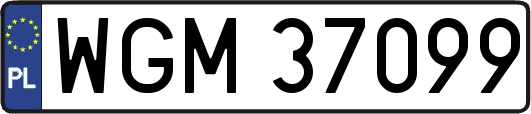 WGM37099