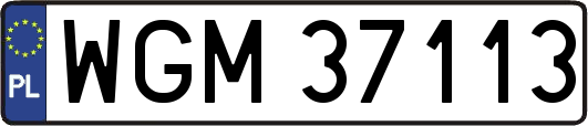 WGM37113