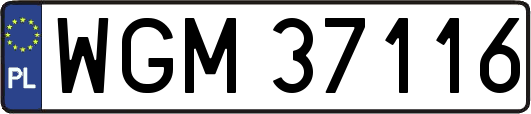 WGM37116
