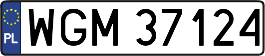 WGM37124