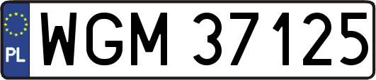 WGM37125