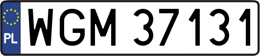 WGM37131