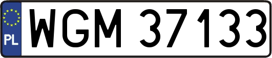 WGM37133