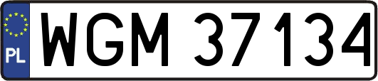 WGM37134