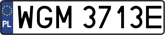WGM3713E