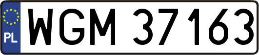 WGM37163