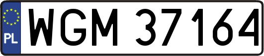 WGM37164
