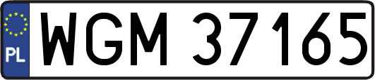WGM37165