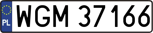 WGM37166