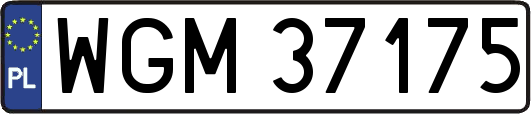 WGM37175