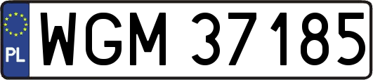 WGM37185