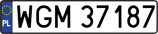 WGM37187