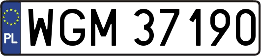 WGM37190