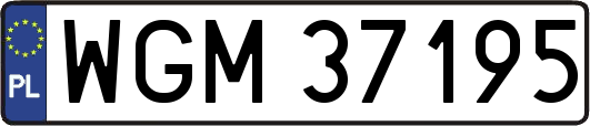 WGM37195
