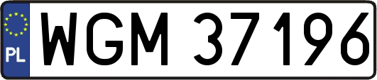 WGM37196