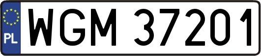 WGM37201