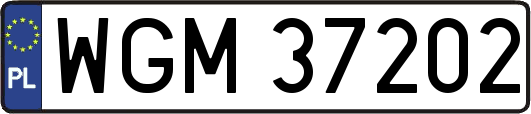 WGM37202