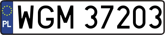 WGM37203
