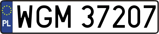 WGM37207