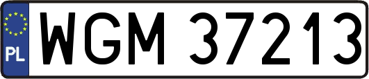 WGM37213