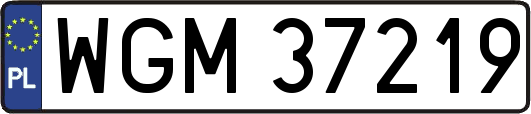 WGM37219