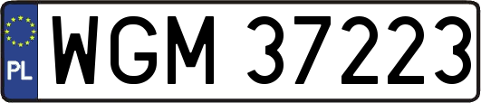 WGM37223