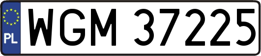 WGM37225