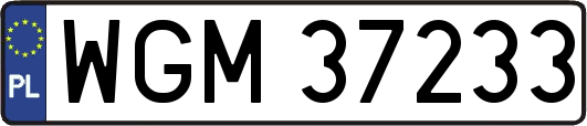WGM37233