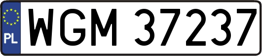 WGM37237