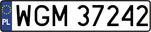 WGM37242