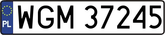 WGM37245