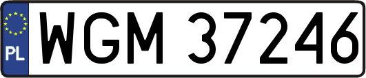 WGM37246