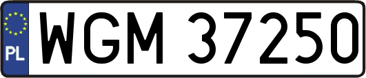 WGM37250
