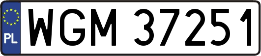 WGM37251