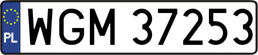 WGM37253